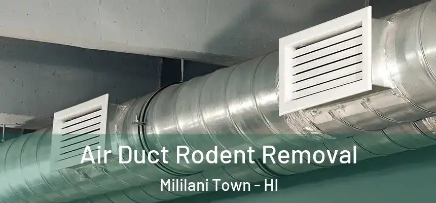 Air Duct Rodent Removal Mililani Town - HI