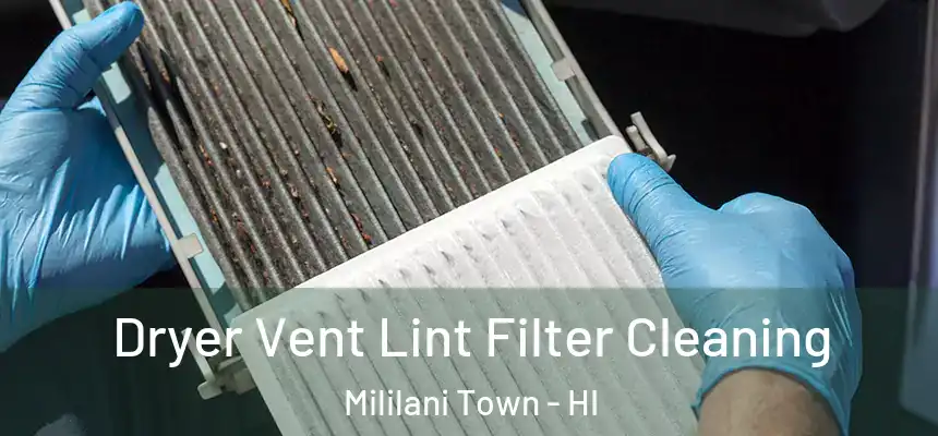  Dryer Vent Lint Filter Cleaning Mililani Town - HI