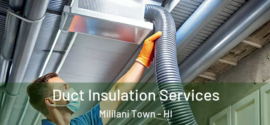 Duct Insulation Services Mililani Town - HI
