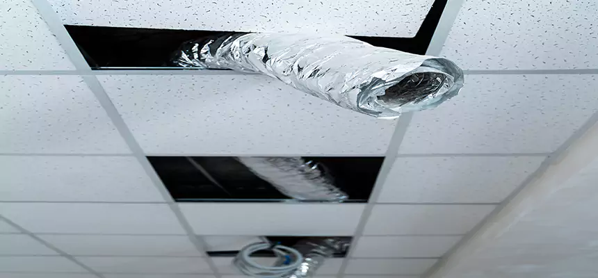 Our Air Duct Pet Hair Removal Services in Mililani Town, HI