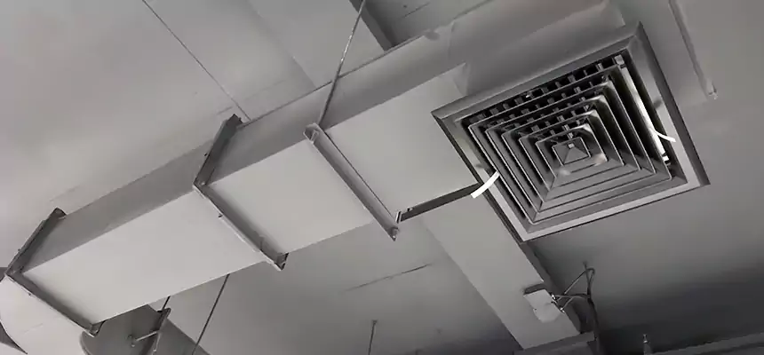 Restorative Allergy Relief Vent Cleaning – Coil, Blower & Housing Detail in Mililani Town