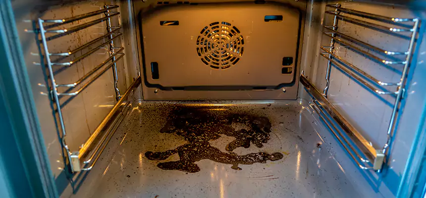 Our Dryer Vent Mold Cleaning Services in Mililani Town, HI