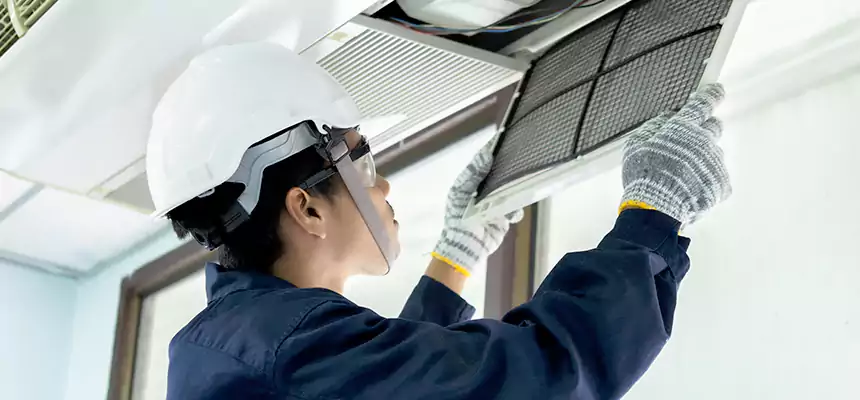 Our Mold & Mildew Removal from Air Ducts Services in Mililani Town, HI