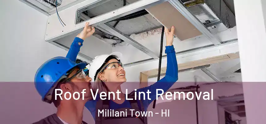 Roof Vent Lint Removal Mililani Town - HI