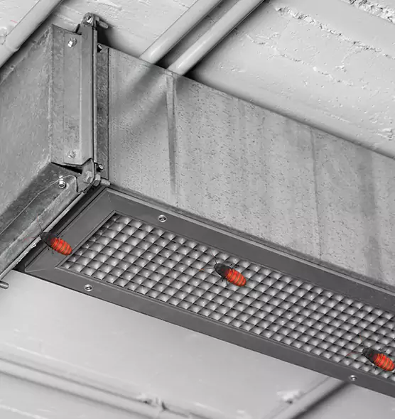 About Air Duct Cockroach Removal in Mililani Town, HI