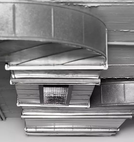 Professional Air Duct Pet Hair Removal in Mililani Town, HI