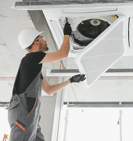 About Air Duct Rodent Removal in Mililani Town, HI