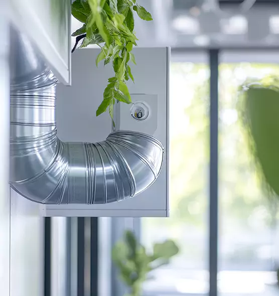 Professional Eco-Safe Dryer Vent Cleaning in Mililani Town, HI