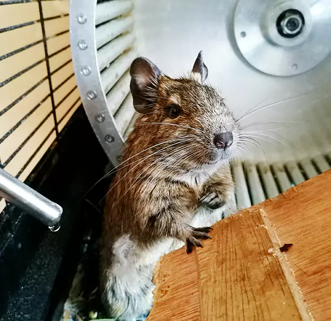 Why Homeowners & Businesses Trust Us Mililani Town, HI