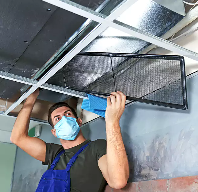 Why Homeowners Businesses Trust Us in Mililani Town, HI