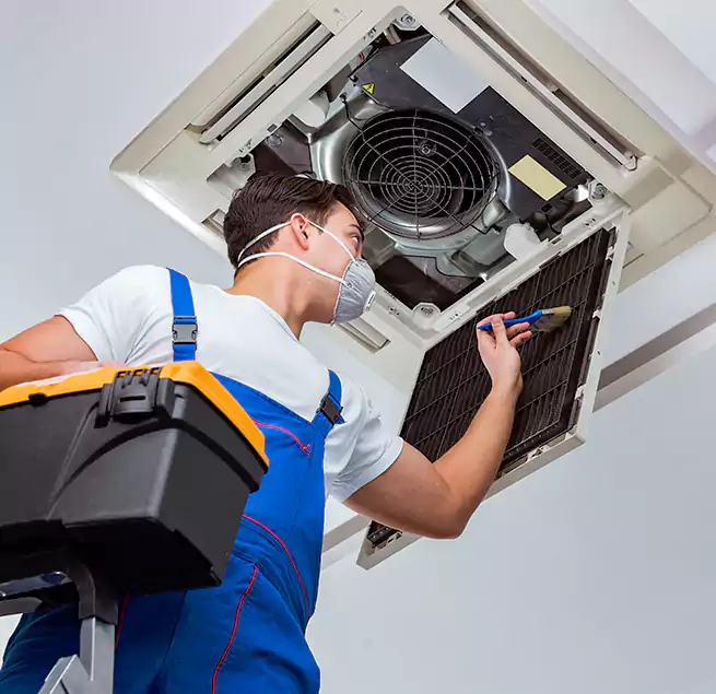 Why Homeowners & Businesses Trust Us in Mililani Town, HI