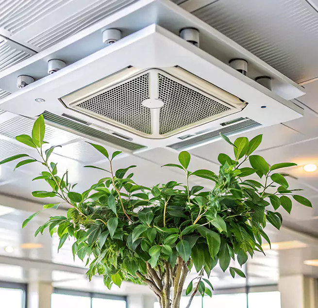 Why Homeowners & Businesses Trust Us in Mililani Town, HI