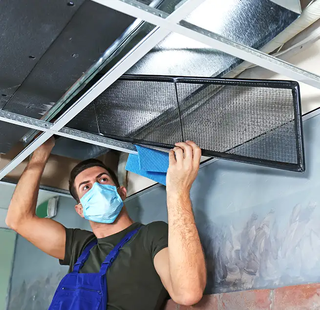 Why Homeowners & Businesses Trust Us in Mililani Town, HI?